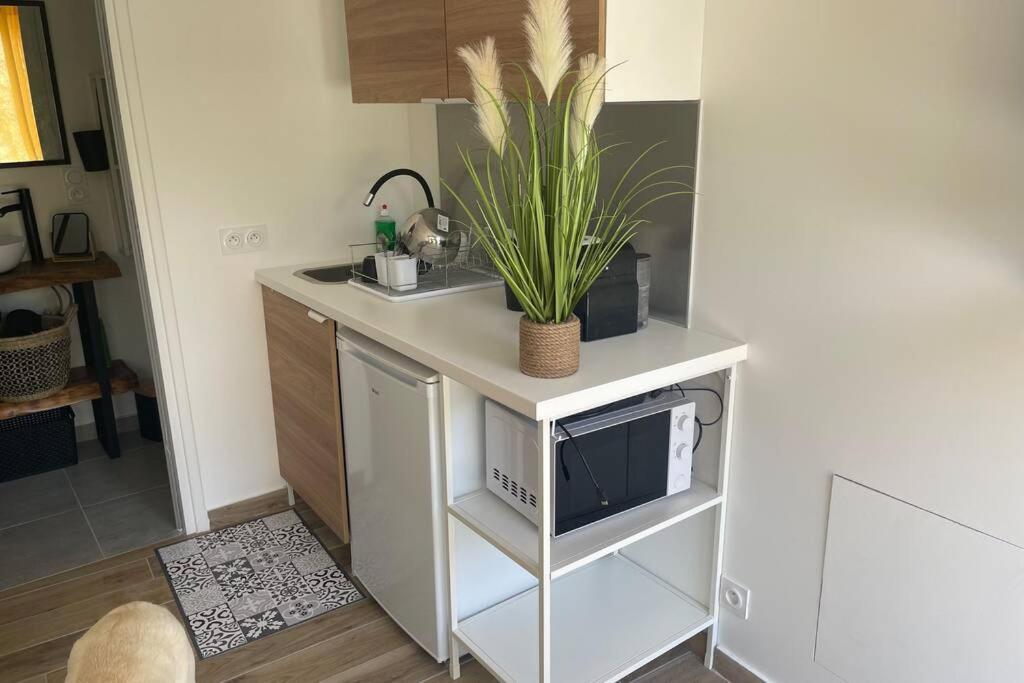 Studio Collobrieres Vue Sur Village Екстериор снимка